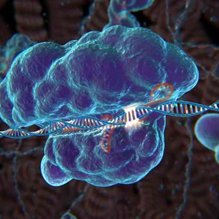 Ножницы, «генетический резак» биотехнологии CRISPR-Cas9